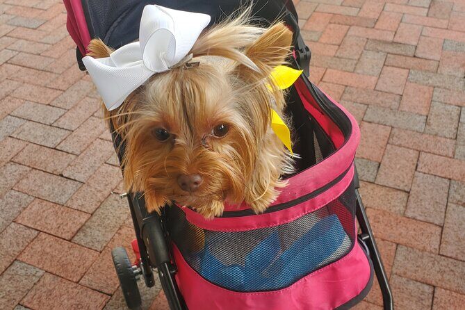 Howl O Ween Doggy Costume Party Cruise - FAQ