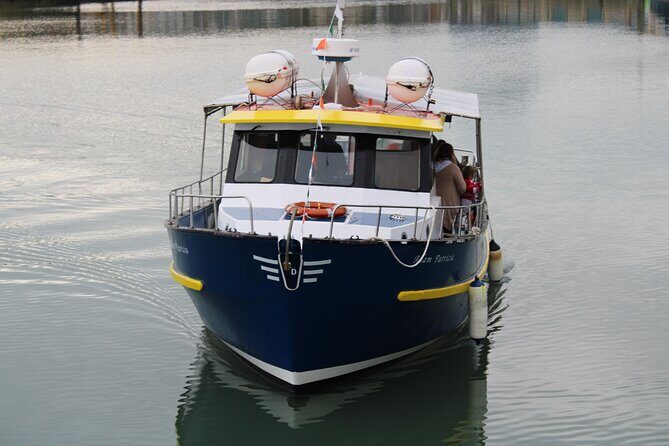Howth Cliff Cruises - Practical Tips for Making the Most of Your Tour