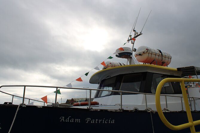 Howth Cliff Cruises - Who Will Love This Experience?