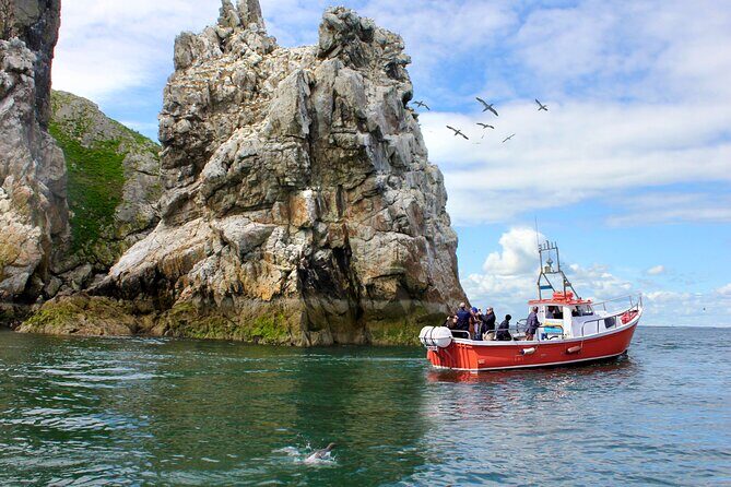 Howth Coastal Boat Tour (Ireland's Eye Ferries 50 mins trip) - Introduction
