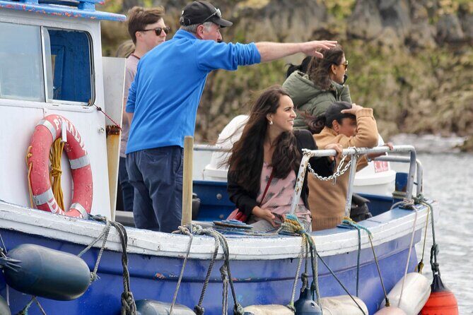 Howth Coastal Boat Tour (Ireland's Eye Ferries 50 mins trip) - Key Points