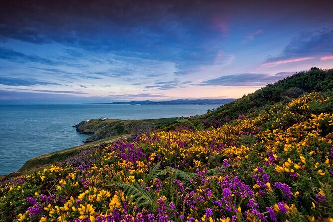 Howth Coastal Half-Day Bus Tour from Dublin with Live Guide - A Detailed Look at the Tour Experience
