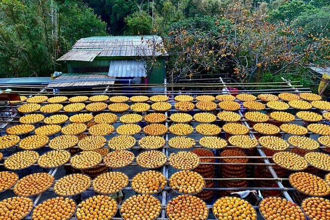Hsinchu Sugar Culture and Dried Persimmon Experience from Taipei - Key Points