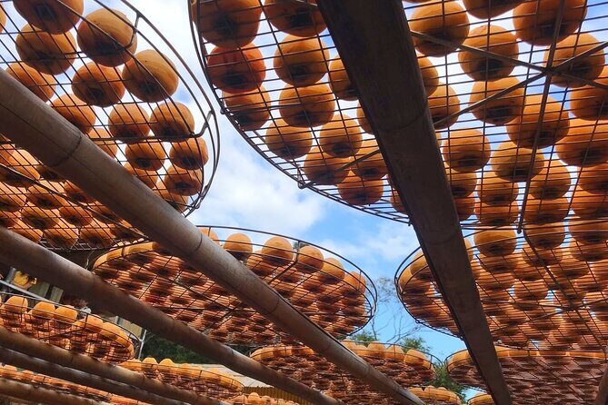 Hsinchu Sugar Culture and Dried Persimmon Experience from Taipei - The Sum Up