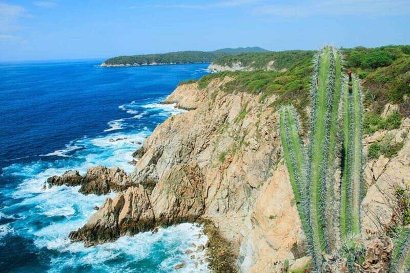 Huatulco: 5-Bay Exclusive Premium Panga Experience - Final Thoughts