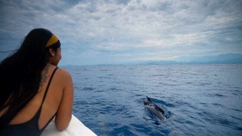 Huatulco: Awakening with Stars Dolphins Boat Cruise - An Honest Look at the Experience