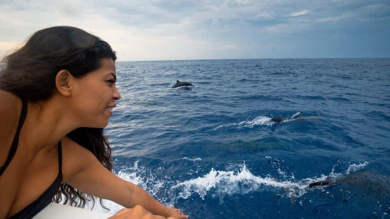 Huatulco: Awakening with Stars Dolphins Boat Cruise - FAQs