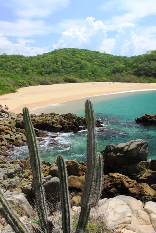 Huatulco: Bays of Huatulco boat tour - The Starting Point: Convenience and Comfort
