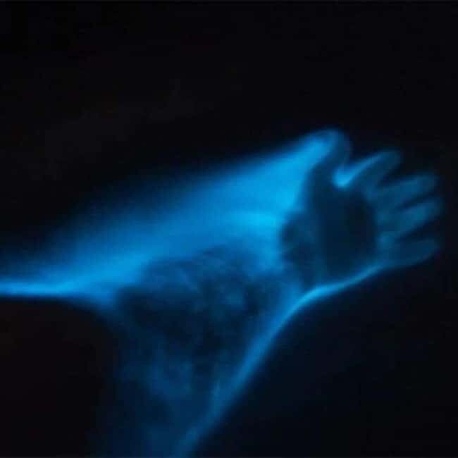 Huatulco: Bio and Liberation Tour - Who Would Love This Tour?