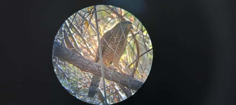 Huatulco: Birdwatching and searching in Huatulco - The Birdwatching Environment