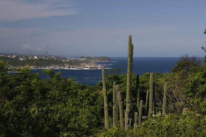 Huatulco City Tour - The Value Proposition: What Does $40 Get You?