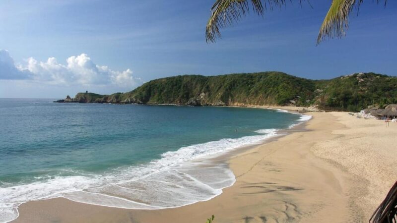 Huatulco Ecotour: Explore La Ventanilla, Mazunte & Zipolite - Authentic Experiences and Traveler Feedback