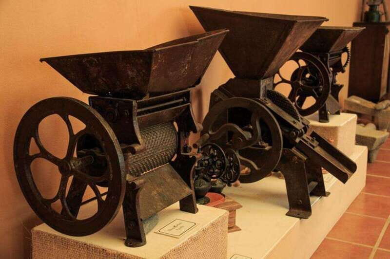 Huatulco: Local Coffee Tasting and Cultural Experience - What Makes This Tour Stand Out?