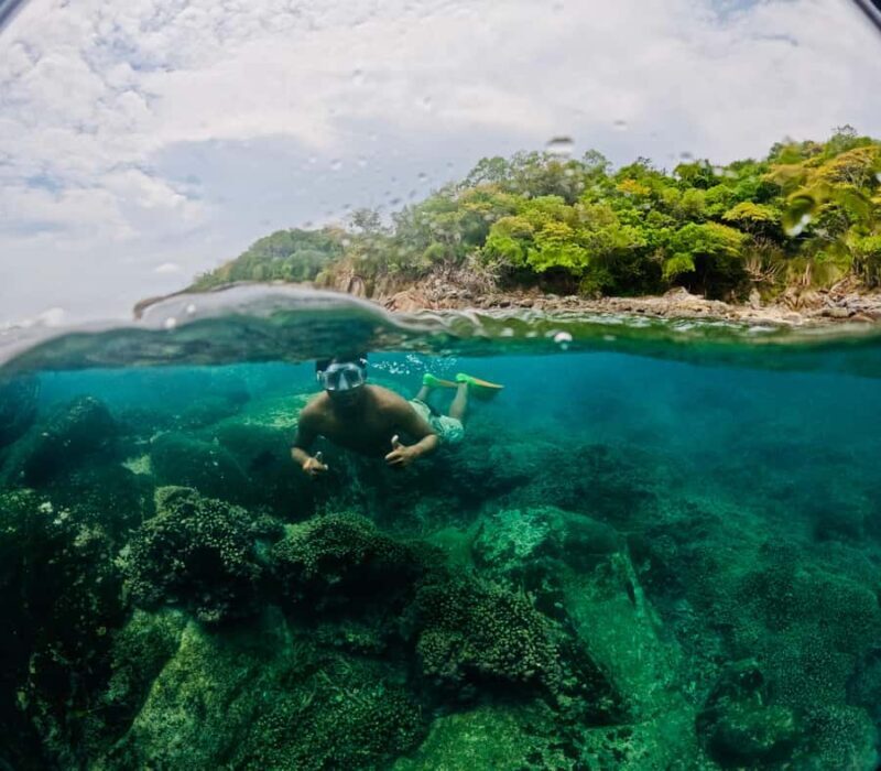 Huatulco: Marine mammal sighting and snorkeling - An In-Depth Look at the Marine Mammal and Snorkeling Tour in Huatulco