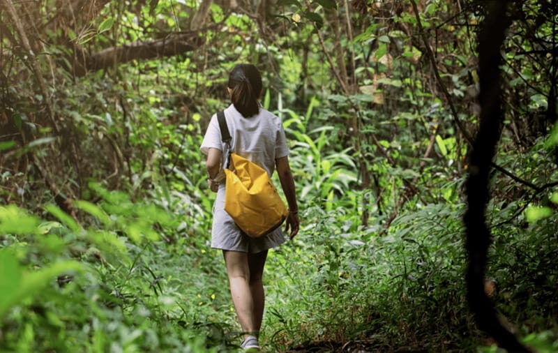 Huatulco: National Park Hiking and Snorkeling Tour - Key Points