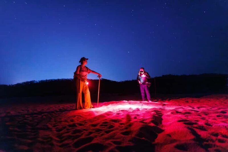 Huatulco: Nighttime sea turtle monitoring guided by a biologist - Key Points