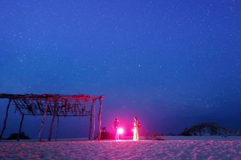 Huatulco: Nighttime sea turtle monitoring guided by a biologist - Setting the Scene: Why This Tour Matters