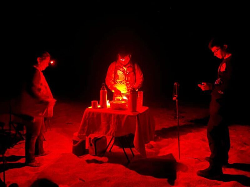 Huatulco: Nighttime sea turtle monitoring guided by a biologist - What Travelers Say