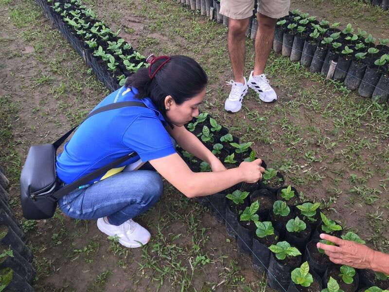 Huatulco: Pluma Hidalgo Coffee Origin and Essence. - Final Thoughts