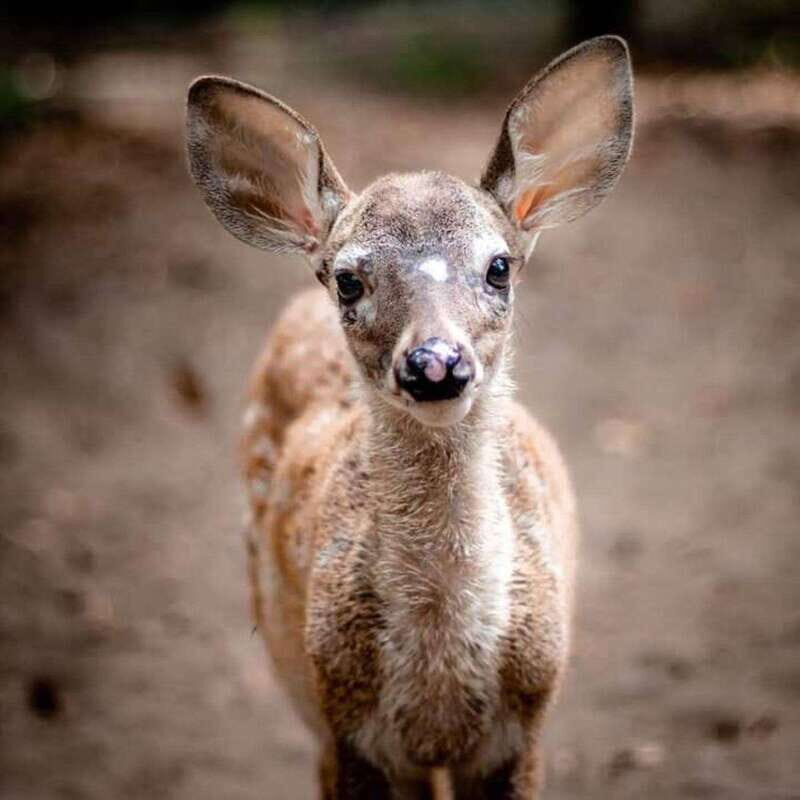 Huatulco: Puerto Angel, Zipolite, and Mazunte Day Trip - Key Points