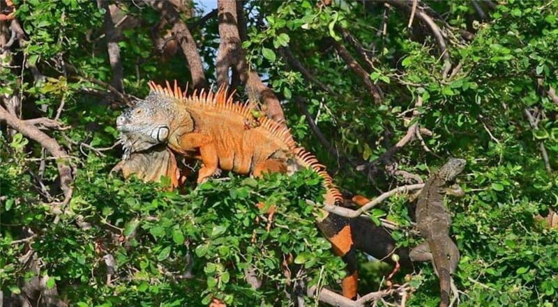 Huatulco: Puerto Angel, Zipolite, and Mazunte Day Trip - Final Thoughts