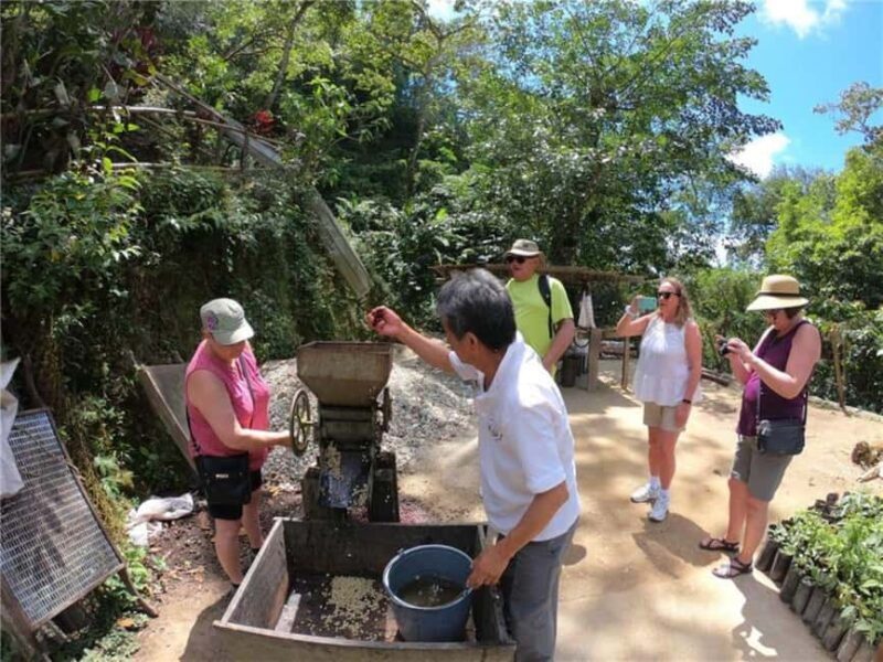 Huatulco: Santa Maria and Pluma Hidalgo Coffee Tour - Price and Value: Is It Worth It?