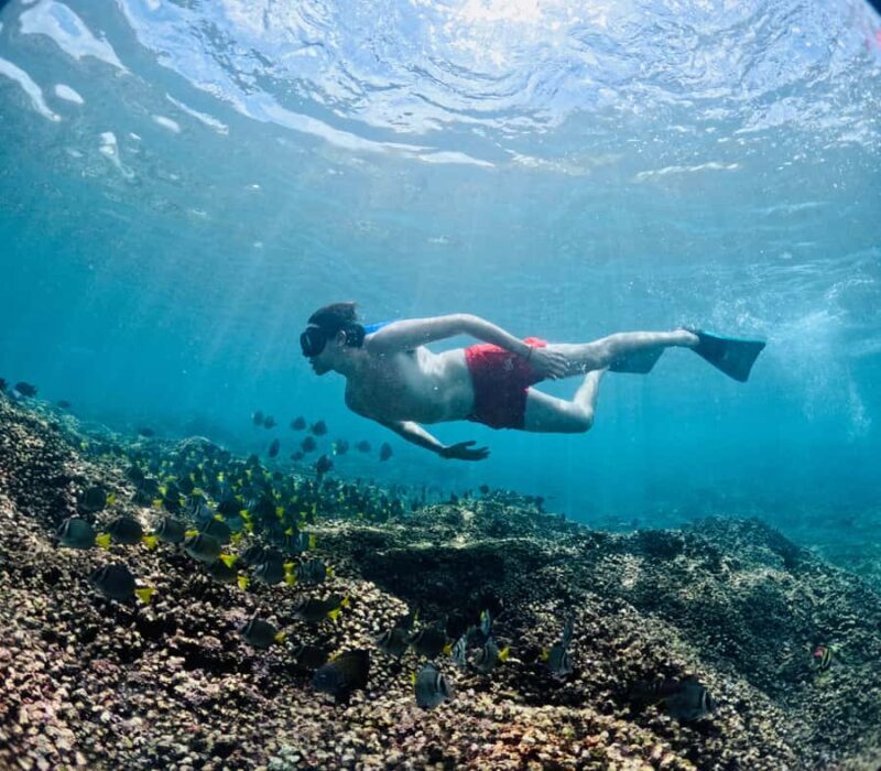 Huatulco: Snorkel at sunrise at La Entrega beach - Key Points