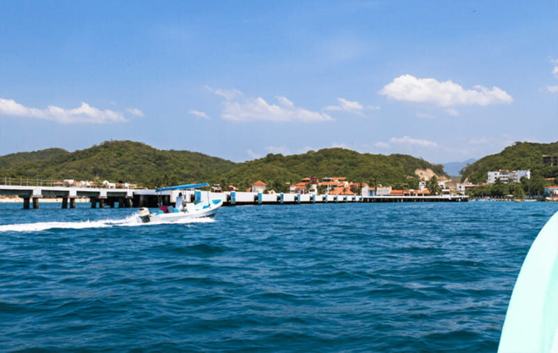 Huatulco: Sunrise Dolphin Watching with Beach Visit - Starting the Day with Ease and Comfort