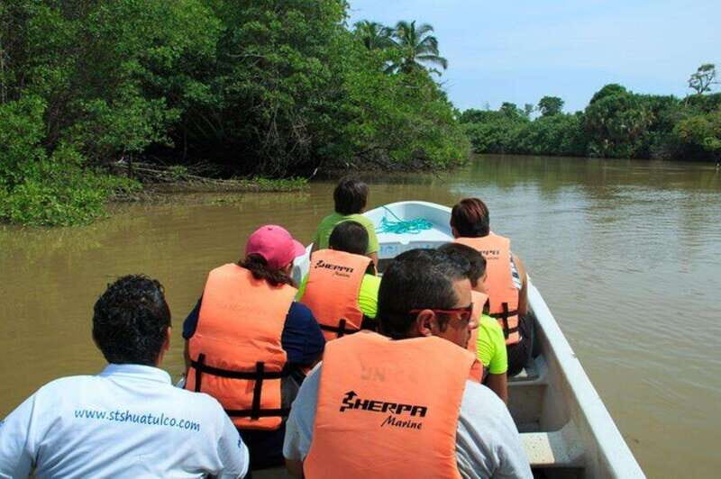 Huatulco: Turtles & Crocs Experience - Key Points