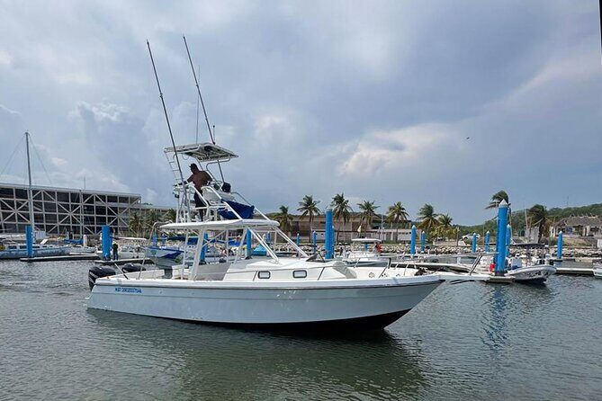 Huatulco Whale & Dolphin Adventures - What to Expect from Your Huatulco Marine Adventure