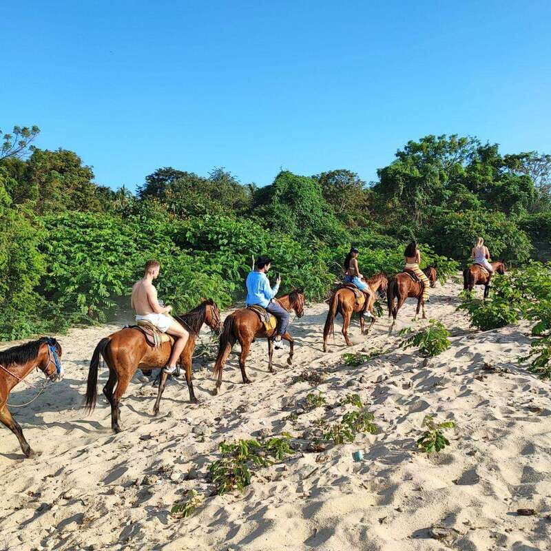 Huatulco:Turtle release,horseback riding and bioluminescence - The Guide and Group Dynamics