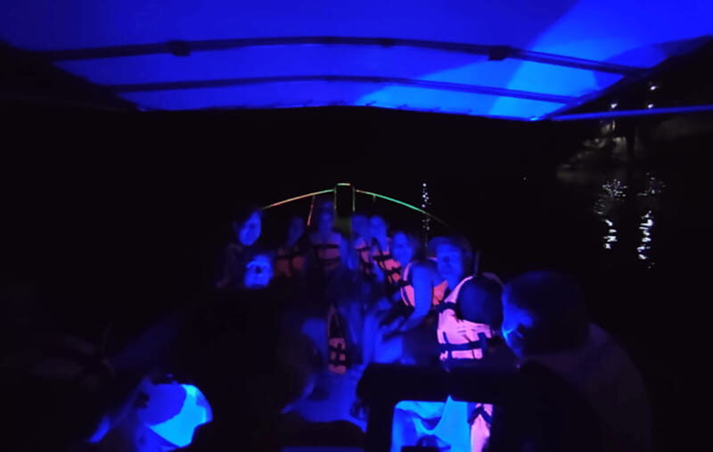 Huatulco:Turtle release,horseback riding and bioluminescence - Practical Tips for Travelers