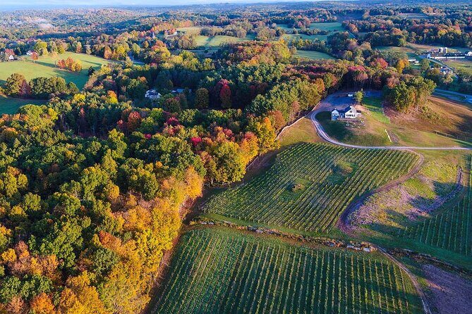 Hudson Valley VIP Vineyard Tour from NYC via Private Helicopter - A Deep Dive into the Experience