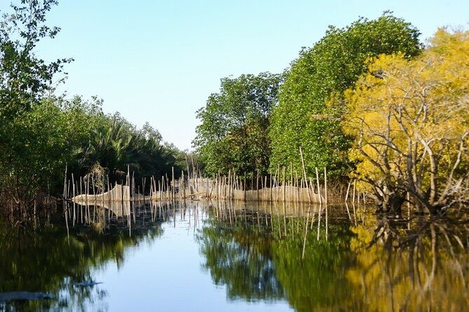 Hue Countryside Tour with Fishing Activities by Net and Trap - Detailed Breakdown of the Itinerary