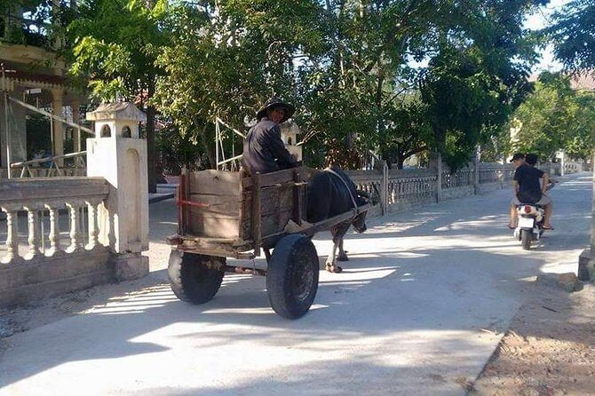 Hue Imperial City and Countryside Tour with Mr T Easy Rider - The Practicalities: What Makes This Tour Stand Out?