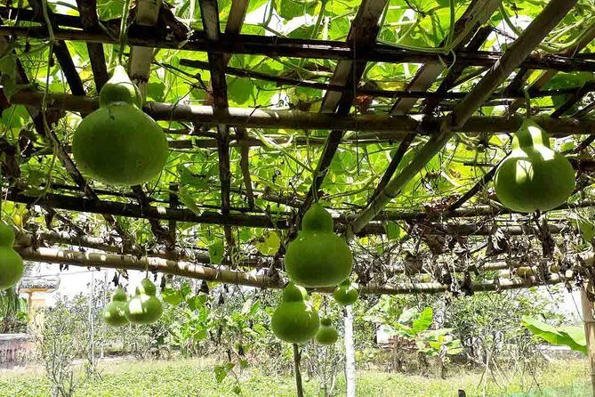 Hue Private tour to Thuy Bieu village 1 day - Detailed Review of the Hue Private Tour to Thuy Bieu Village