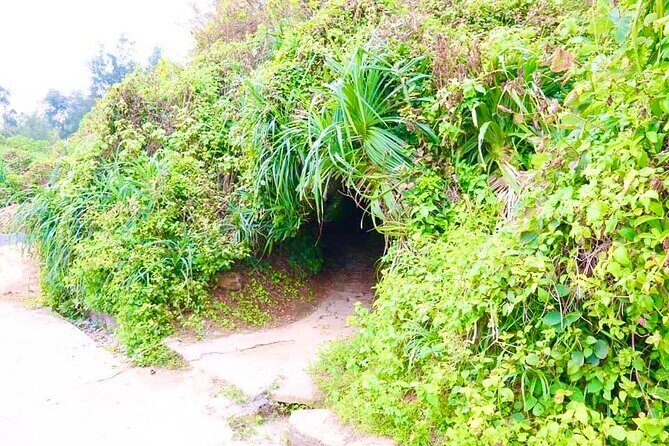 Hue To Phong Nha Cave Sightseeing Vinh moc Tunel DMZ - Flexibility and Customization