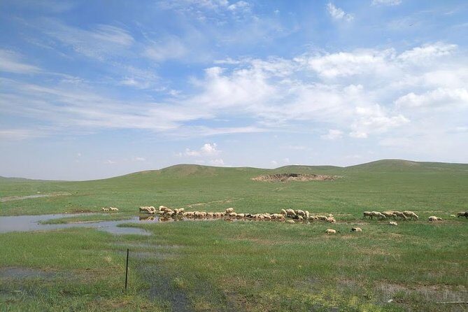 Huhhot 4D3N Inner Mongolia Grassland and desert nature tours - Key Points