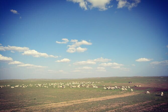 Huhhot Inner Mongolia 3 Days Xilamuren kubuqi Desert Nature Tour - Exploring the Itinerary in Detail