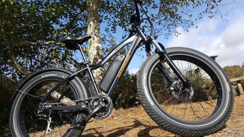 Humboldt: Electric Bike Rentals (4-Hour or Full Day options) - Exploring Humboldt with an Electric Bike