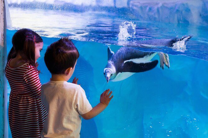 Hunstanton SEA LIFE Sanctuary General Admission Ticket - Is This Tour Right for You?