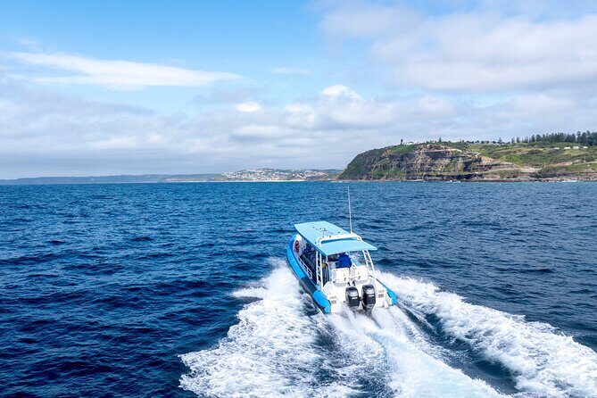 Hunter Coastal Adventure Tour by Boat from Newcastle - What the Reviews Say