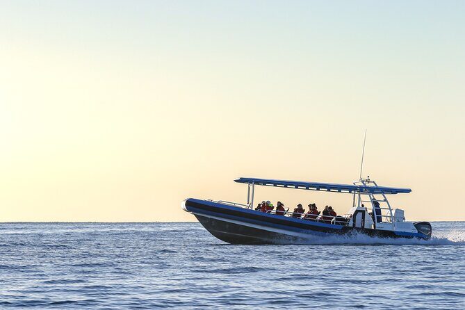 Hunter Coastal Adventure Tour by Boat from Newcastle - Practical Tips for Your Trip
