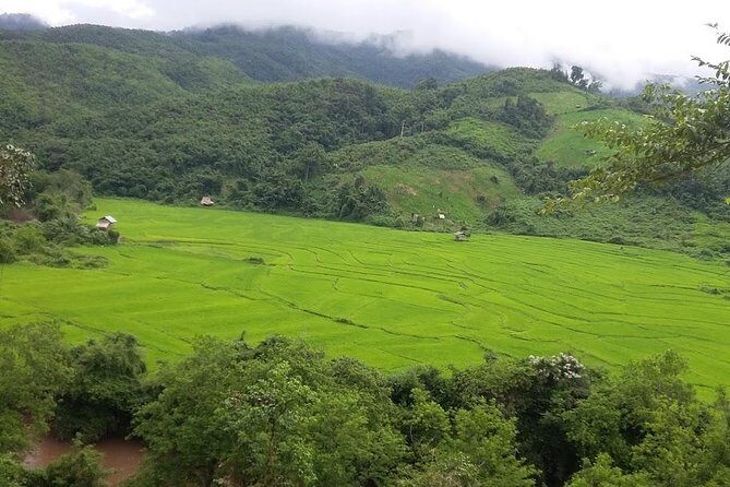 Hunter Trails, 3 days difficult trekking with Camping & Homestay - A Deep Dive into the Hunter Trails Experience: Laos Jungle Trekking