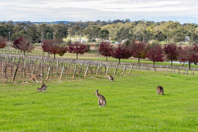 Hunter Valley All Inclusive Boutique Wine Tour from Sydney - Unpacking the Value