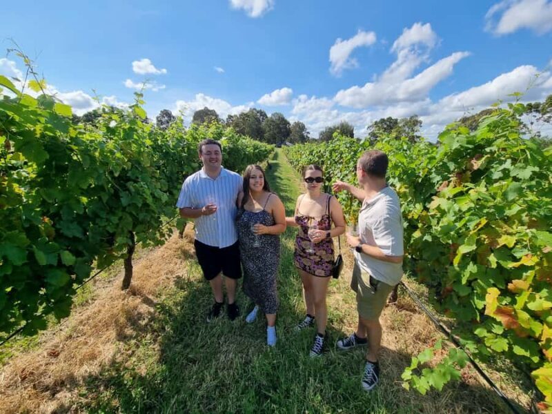 Hunter Valley: Beer & Wine Group Tour - Key Points
