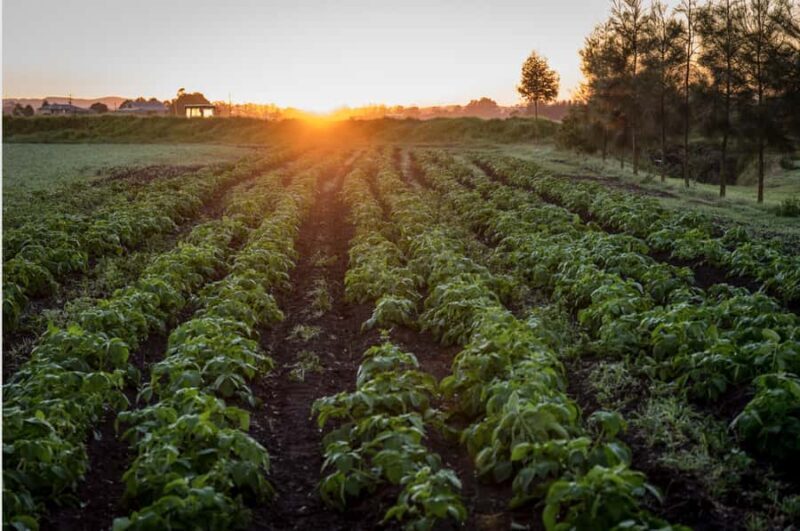 Hunter Valley: Private Day Tour from Sydney with Your Crew! - An Introduction to the Tour Experience