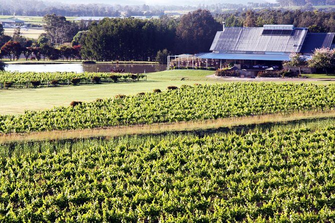Hunter Valley Private Wine Tasting Tour from Sydney - Introduction