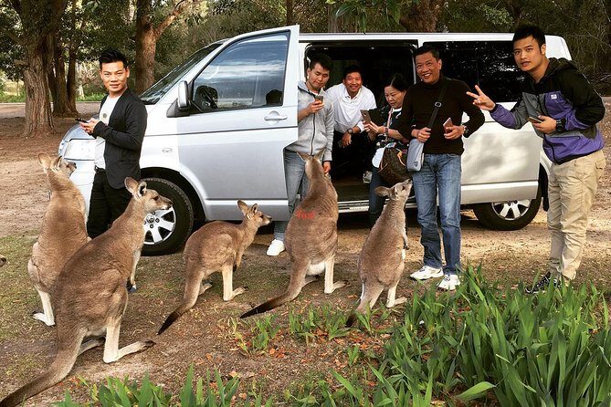 Hunter Valley Private Wine Tasting Tour from Sydney - Additional Considerations