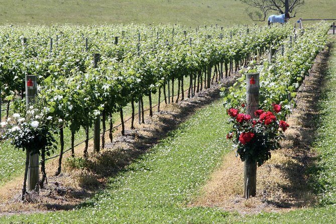 Hunter Valley Private Wine Tasting Tour from Sydney - FAQ